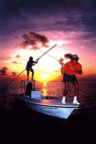 Fiska p natten i Florida Keys