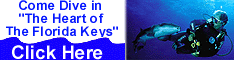 Abyss Dive Center