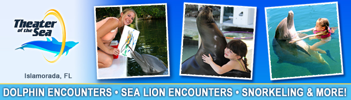 Theater of the Sea - Dolphin Encounters