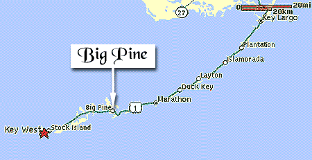 Big Pine Map