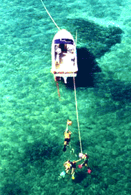 Diving in the Keys