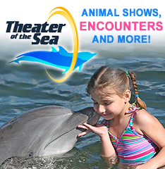 Theater of the Sea
