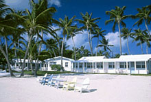  OCEANFRONT! - Pines and Palms Cottages