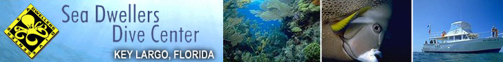 Scuba Diving Florida Keys
