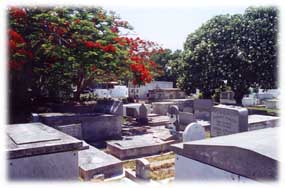 Graves in Key West Cemetery