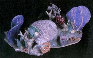 Fanta Sea - Porcelain